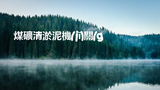 煤礦清淤泥機(jī)關(guān)鍵時(shí)辰！如何應(yīng)對(duì)都市排水系統(tǒng)的征詢題？